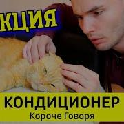 Тимтим Короче Говоря Кондиционер Реакция Реакция На Тимтим