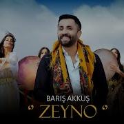 Zeyno Baris Akkus