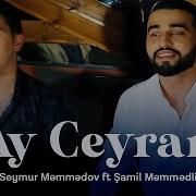 Seymur Ay Ceyran Mp3 Yukle