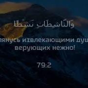 Ислам Субхи Сура Ан Нази Ат Очень Красивое Чтение Корана