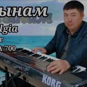 Саганым Алтынбек Корг Па 700