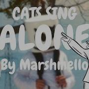 Cats Sing Alone By Marshmello Cats Singing Song