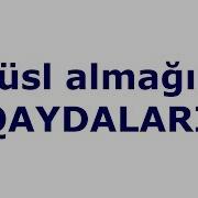 Güsl Almağın Qaydaları