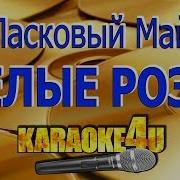 Белые Розы Ласковый Май Karaoke Version