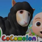 Baa Baa Black Sheep More Nursery Rhymes Kids Songs Cocomelon