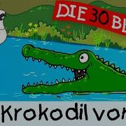 Das Krokodil Vom Nil