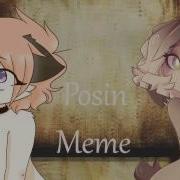 Posin Meme Collab