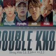 Stray Kids 스트레이 키즈 Double Knot Ot8 Ver