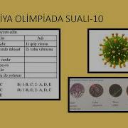 Biologiya Olimpiada Sualları Respublika Turu 10 Sinif