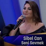 Seni Sevmek