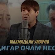 Ин Чои Ту Нест Хонаи Манаст