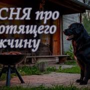 Трек Песня Про Работящего Мужчину