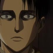 Oi Oi Oi Levi