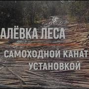 Тралёвка Леса Самоходной Канатной Установкой Железный Дровосек