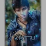 Karisa Kattu Song Whatsapp Status Thirunal Badboy Creations