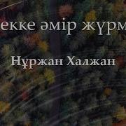 Нұржан Халжан Жүрекке Әмір Жүрмейді Cөзі Караоке Текст Lyrics