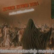 Səlim Müəzzinzadə Zeynəb Zeynəb