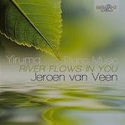 Jeroen Van Veen Dream