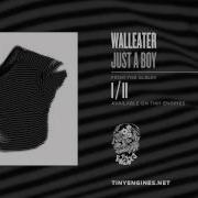 Wallester Just A Boy