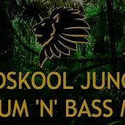 Old School Jungle