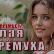 Белая Черёмуха Премьера 2025 Лирический Шансон О Любви