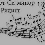 Концерт Си Минор Минус