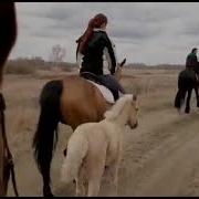 Клип Про Лошадей Horse Video