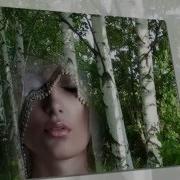 Белая Береза Дворовые Песни Под Гитару Песни О Любви