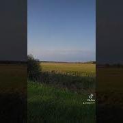 Игорь Огурцов Нравится Мне