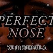 Subliminal Perfect Slim Nose