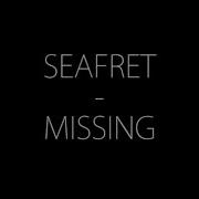 Seafret Missing Lyrics