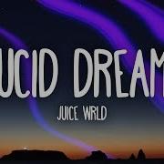 Lucy S Dream