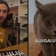 Alugalug Singing Cat