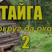 Тайга Вокруг Да Около 2