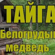 Тайга Книга 2 Часть 2