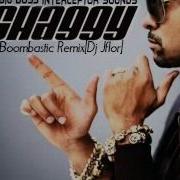 Shaggy Boombastic Remix