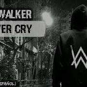 Alan Walker Never Cry