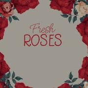 Juke Ross Fresh Roses