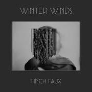 Winter Winds Finch Faux