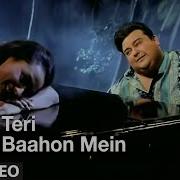 Teri Baahon Mein