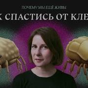 Почему Мы Еще Живы