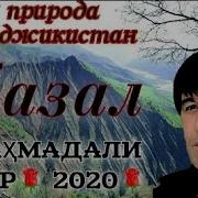 Махмадали Умар Газал