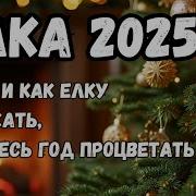 Е Лку Нарядила А Нового Года Не Будет