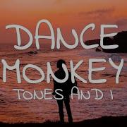 Acapella Dance Monkey