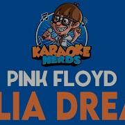 Pink Floyd Julia Dream Karaoke