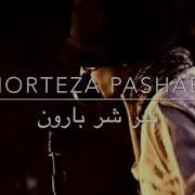 Morteza Pashaei Shor Shore Baroon V2