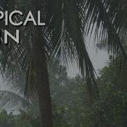 4K Relaxing Tropical Rain Nature Sounds Ultra Hd 3 Hours Sleep Relax Meditate Study Peaceful