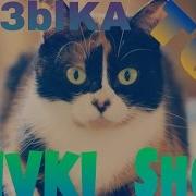 5 Песен Которые Использует Канал Slivki Show