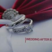 Wedding Intro After Effects Project Files Videohive 14584906