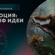 Эволюция Триумф Идеи